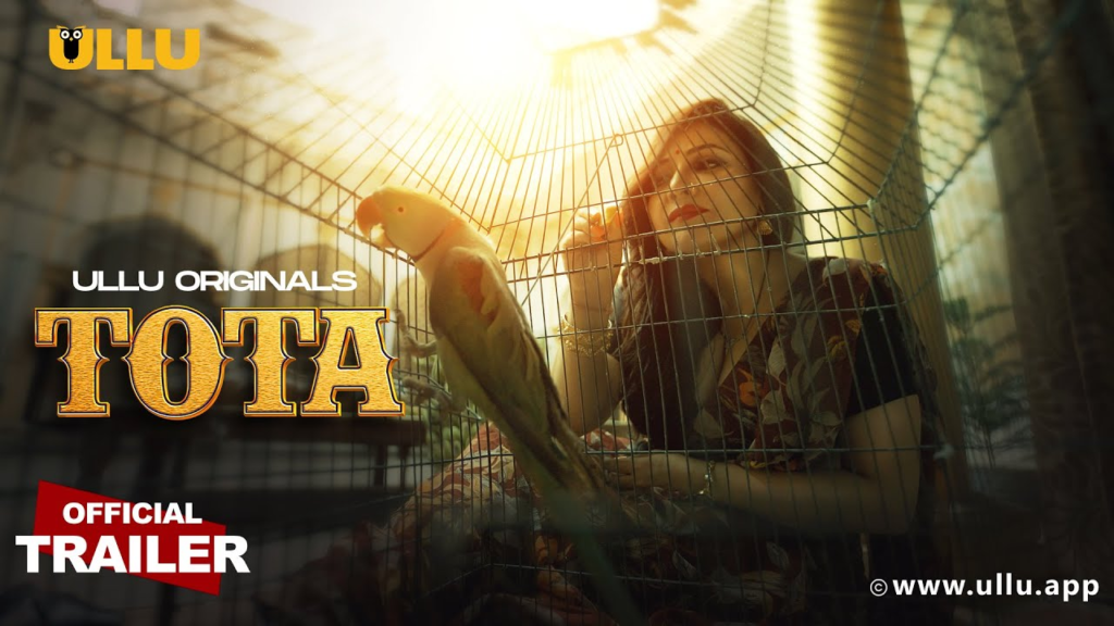 Tota (Season 01) Download in Hindi-Webseries
